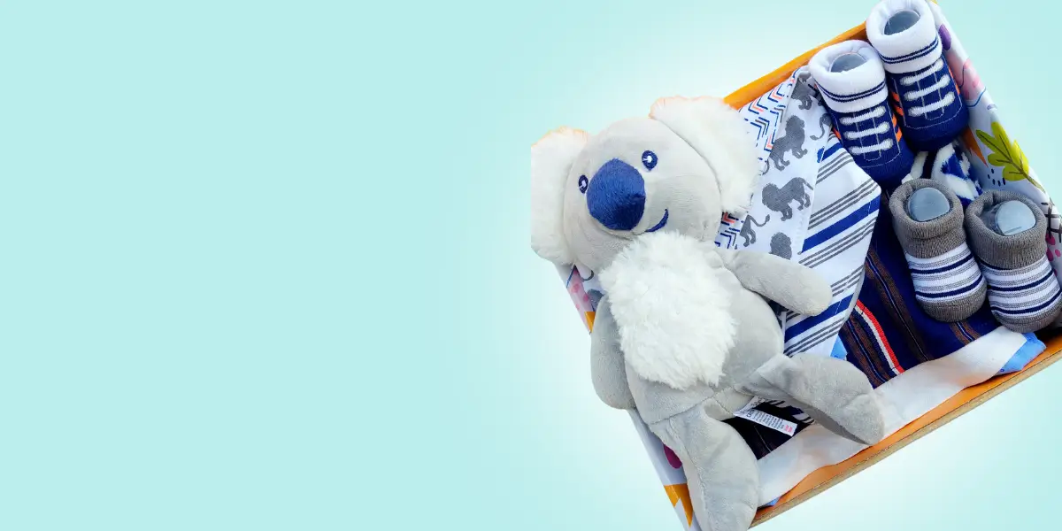 Section banner: koala gift box on aqua